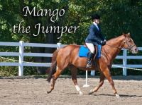 Mango_the_Jumper